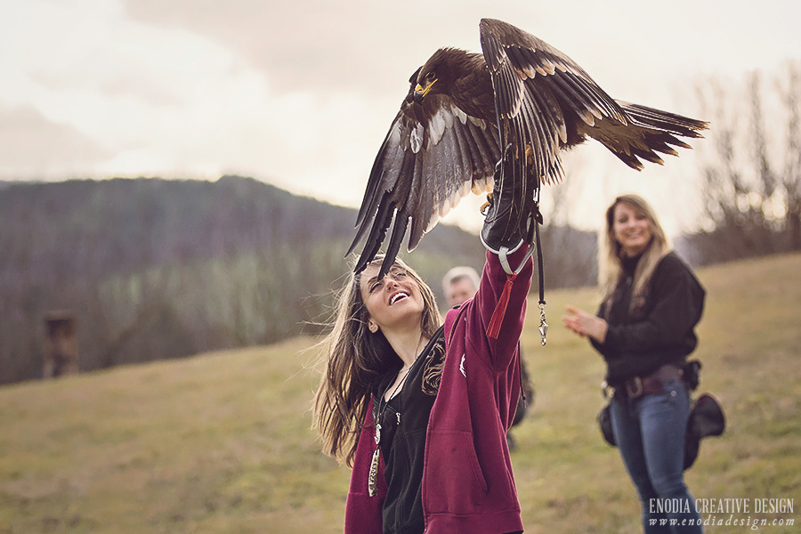 Falconeria Freddy e Viky