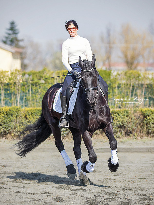 Stage Aironi Dressage | Beatrice Cassanmagnago e Fransje