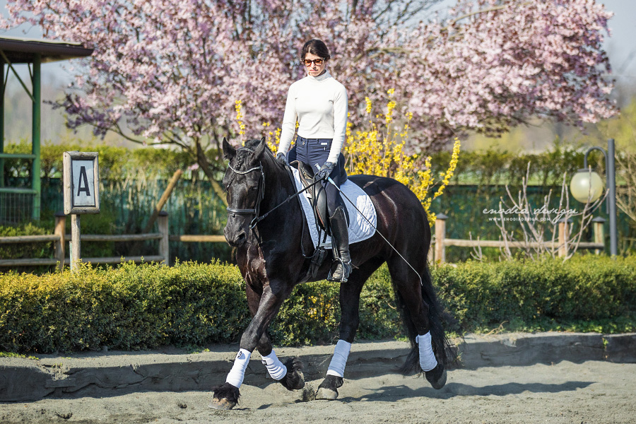 Stage Aironi Dressage | Beatrice Cassanmagnago e Fransje