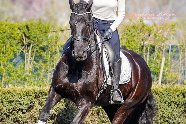 Stage Aironi Dressage | Beatrice Cassanmagnago e Fransje