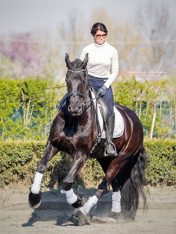 Stage Aironi Dressage | Beatrice Cassanmagnago e Fransje