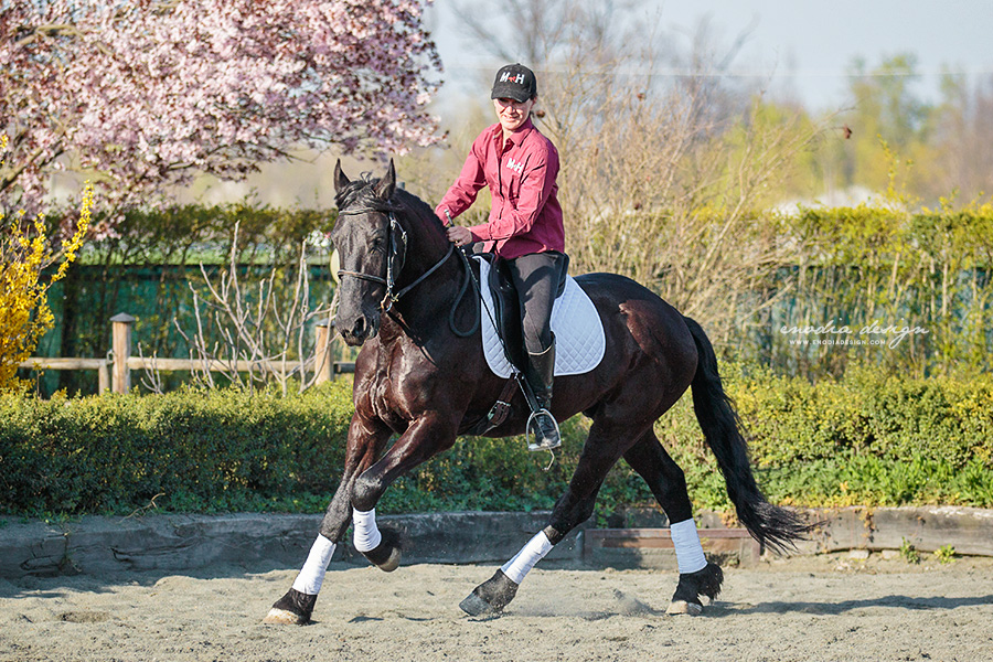 Stage Aironi Dressage | Elena Giunipero e Iago