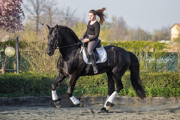 Stage Aironi Dressage | Martina Sbrocchi e Wouter van Brenda P.