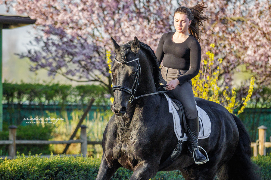 Stage Aironi Dressage | Martina Sbrocchi e Wouter van Brenda P.