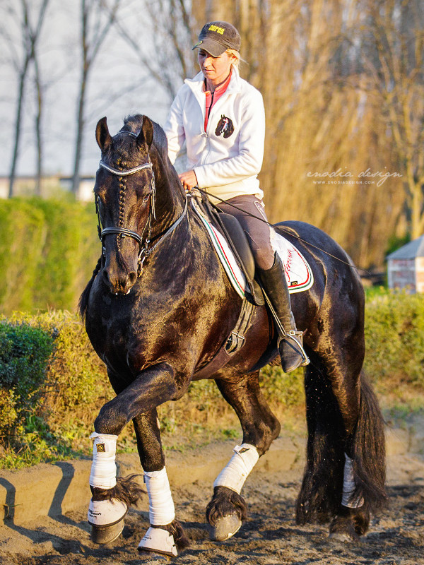 Stage Aironi Dressage | Barbara Prepokova con Yerevan