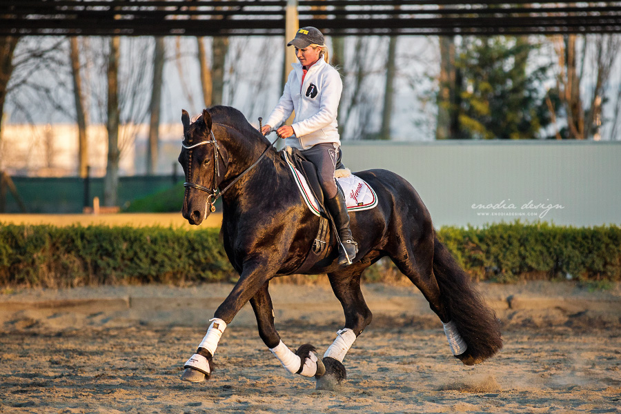 Stage Aironi Dressage | Barbara Prepokova con Yerevan