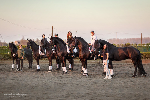 Stage Aironi Dressage | Claudia Montanari, Titus fan de Marren, Beatrice Cassanmagnago, Fransje van de Botermaete, Elena Giunipero, Iago, Martina Sbrocchi, Wouter van Brenda P., Barbara Prepokova Yerevan, Ginevra Coperchio, Lude fan de Marren