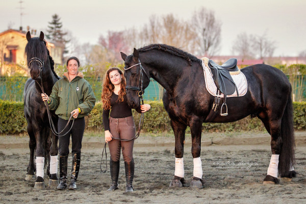 Stage Aironi Dressage | Claudia Montanari , Titus fan de Marren , Martina Sbrocchi, Wouter van Brenda P.