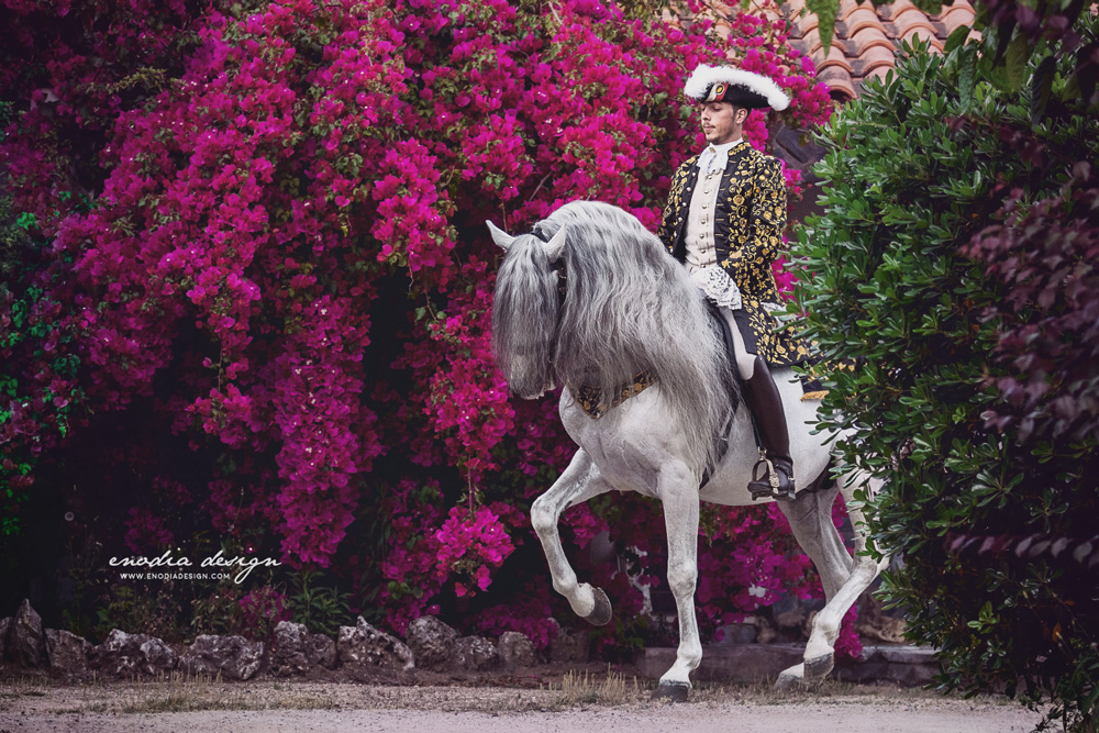 Classical Dressage is one of my greatest passion and having the opportunity to photograph amazing riders performing high school exercises with handsome stallions and costumes, in an enchanting garden, in full bloom, was a dream I had for a long time. Thanks Lusitano World and Rita Fernandes for this chance! <3 ≈ © Giulia Basaglia - Enodia Design & Photography