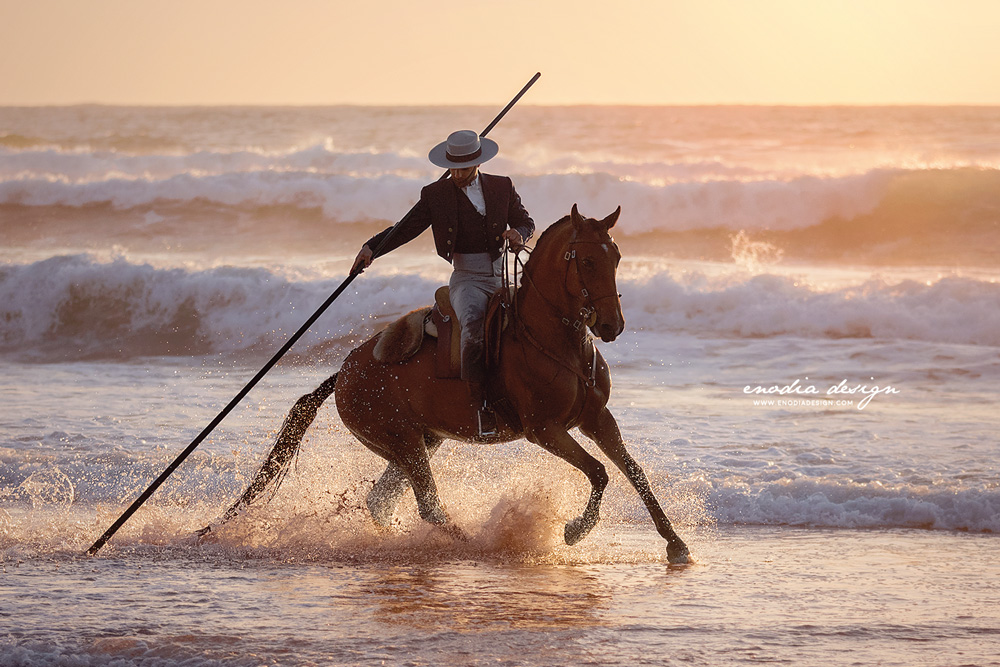 This is one of my favorite photoshooting so far. I mean, who wouldn't love to photograph six stallions at the beach, with golden hour light? Every equestrian photographer's dream! In this photo, Frederico Peres and his stallion Duque. Thanks Lusitano World and Rita Fernandes for this chance! © Giulia Basaglia - Enodia Design & Photography